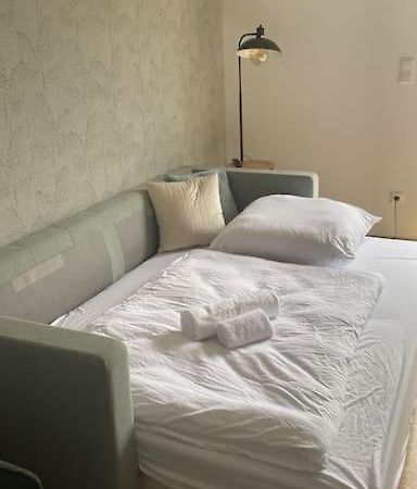 Doreyhome P5 - Zentrale Apartment Fuer 5 Pers Nahe Der Altstadt - Parkplatz - Wlan Passau Exterior foto